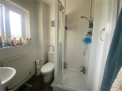Picture 17